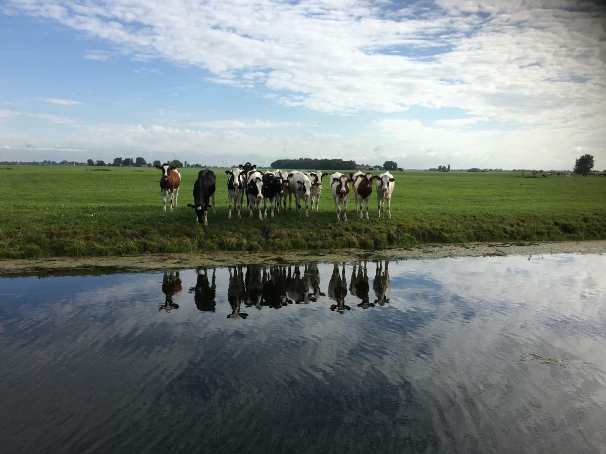 Vakantiehuis Het Voorhuis Op Landgoed Koepeltjesplaats Gaast Экстерьер фото
